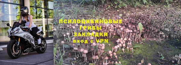 apvp Абаза