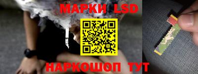 ПСИЛОЦИБИНОВЫЕ ГРИБЫ Нальчик
