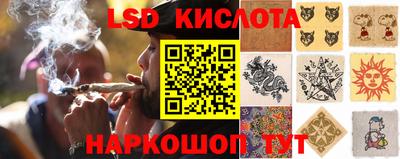 ПСИЛОЦИБИНОВЫЕ ГРИБЫ Нальчик
