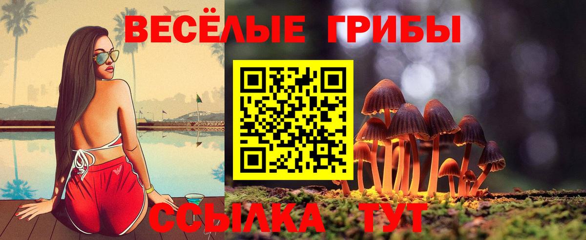 где продают наркотики  Вход с VPN  Галлюциногенные грибы MAGIC MUSHROOMS  Соликамск  Псилоцибиновые грибы Psilocybe 
